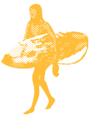 DEKOM Surfing School