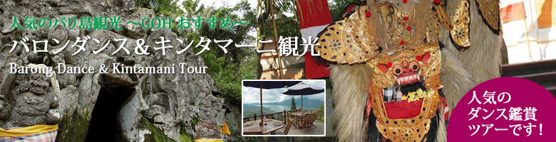 �C�̎��@�^�i���b�g�������O�C���@�ό� - �f�B�i�[�t��