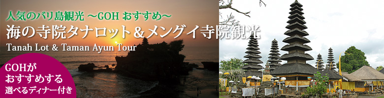 �C�̎��@�^�i���b�g�������O�C���@�ό� - �f�B�i�[�t��