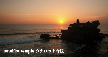 �^�i���b�g���@