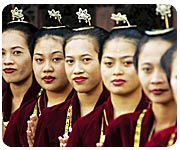 ���o����������񎏂Ԃ����I�X�X�����X�g�����E�J�t�F�E���H�����/�A���f�B�A