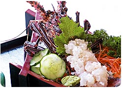 ���o����������񎏂Ԃ����I�X�X�����X�g�����E�J�t�F�E���H�����/�Ղ�