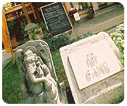 �C���e�B�EInti./�o�����E�V���b�v�E���y�Y���/�T�k�[���n��