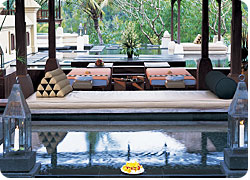 ���o����������񎏂Ԃ����X�p�E�G�X�e���E�u�h�n��^�L���[�i�X�p