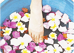 ���o����������񎏂Ԃ����X�p�E�G�X�e���W���o�����n��^���[�^�X�N���u