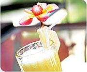 ���o����������񎏂Ԃ����X�p�E�G�X�e���X�~�j���b�N�n��^�v���i�X�p